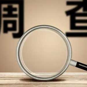 调查咨询